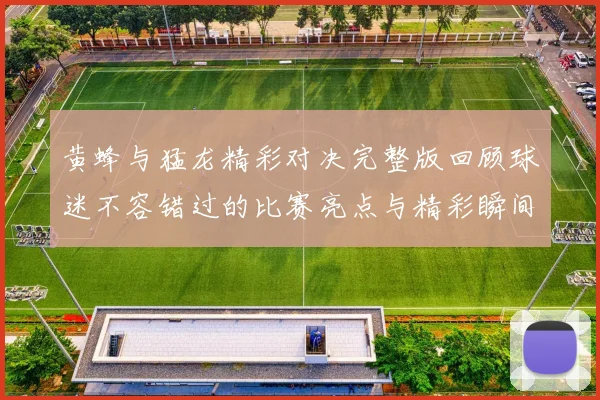 黄蜂与猛龙精彩对决完整版回顾球迷不容错过的比赛亮点与精彩瞬间